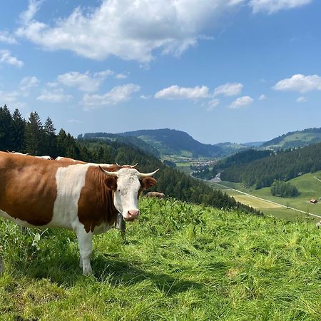 Weitnaustyle - Renoviert, Modern, Allergikerfreundlich Zewnętrze zdjęcie